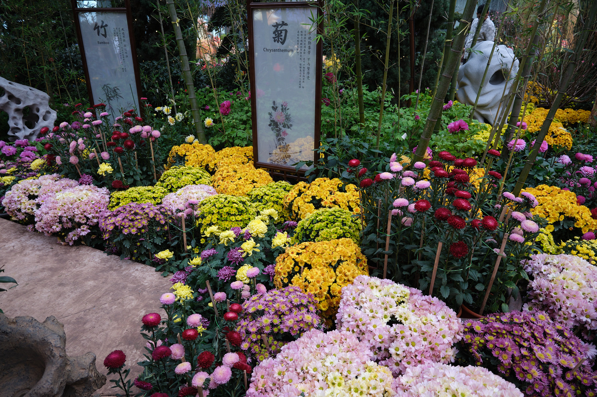 フラワー・ドームの花の展示